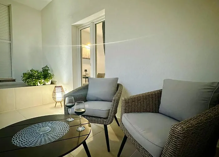 Toni 罗戈兹尼察