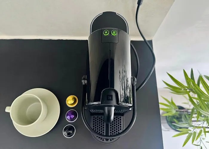 Toni Rogoznica (Sibenik-Knin)